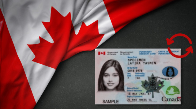 Calgary Permanent Resident Cards