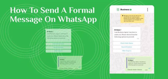 How to Send a Formal Message on WhatsApp?